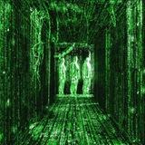 Dilated Marketplace