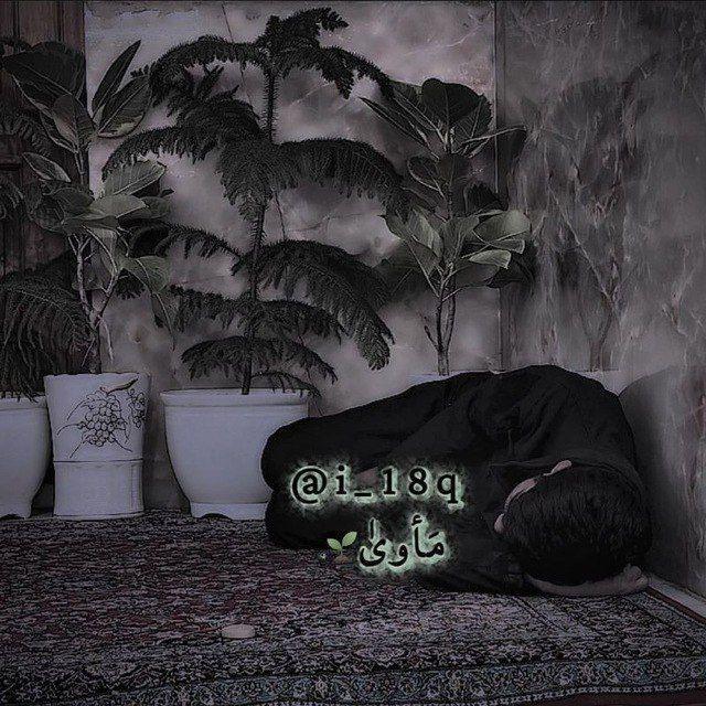 مَأوىٰ 🌱.