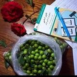 استخدامی دبیری و آموزگاری🎓