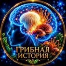 Грибная История