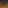 CatBit (Official Channel)