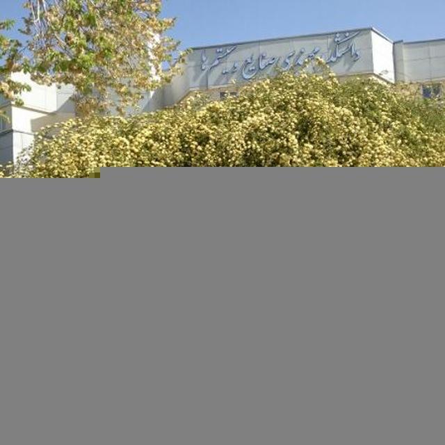 آموزش دانشکده مهندسی صنایع و سیستم ها