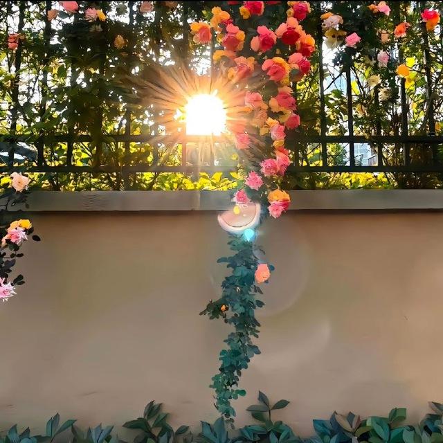 uu得小屋