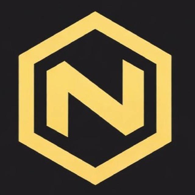 NisaAI