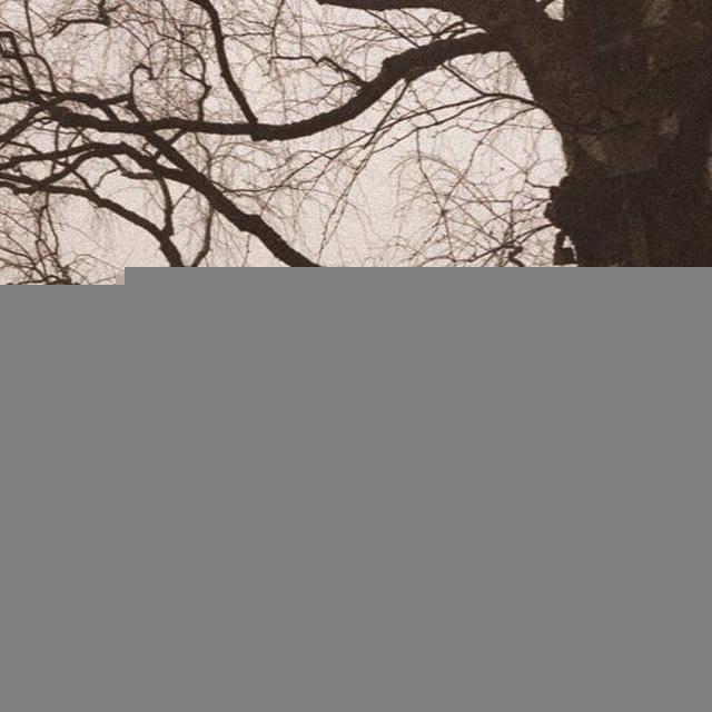 DSBM Depressive Black Metal Chat