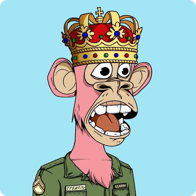 APE2896