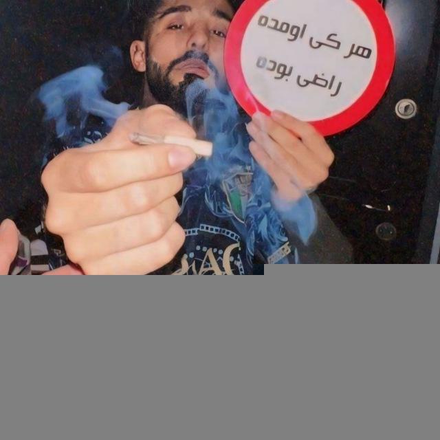 mdi Phish👽