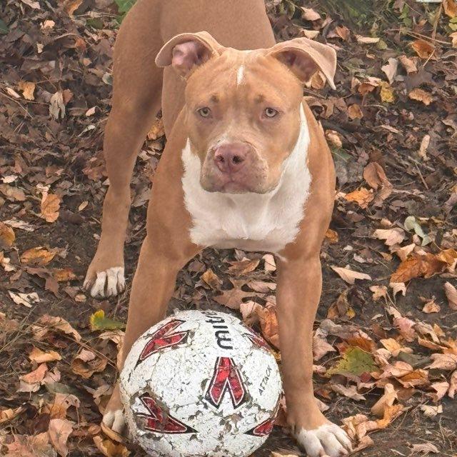 Jazzy’s LUCKY PICKS 🏈⚾️🏀⚽️🏒