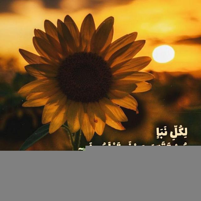 🌴قطره ای ازکلام اولیاء اللهِ 🌴