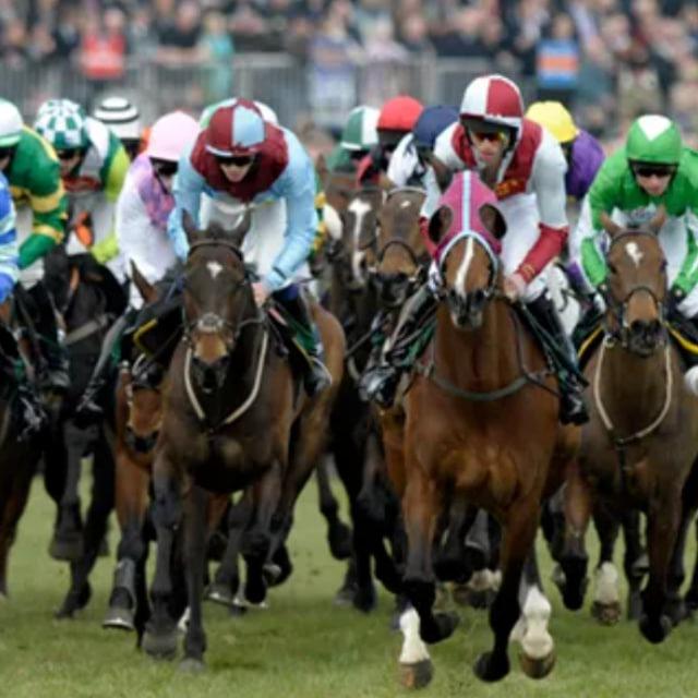 Andy Hobbs - Cheltenham 2026