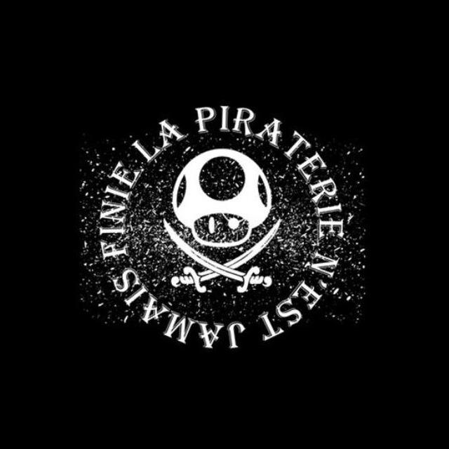 LA PIRATERIE 🏴‍☠️ (secours)