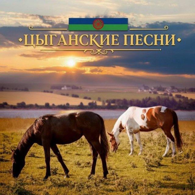 цыганские песни.