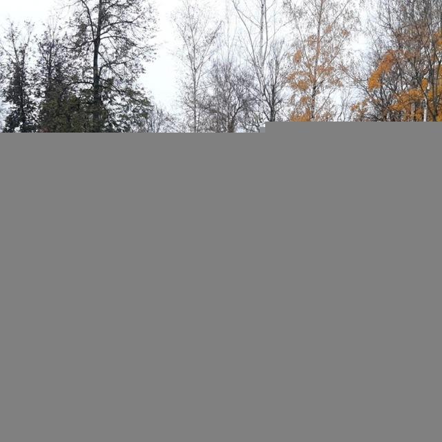 Ржев Сегодня