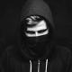 Alan Walker Music
