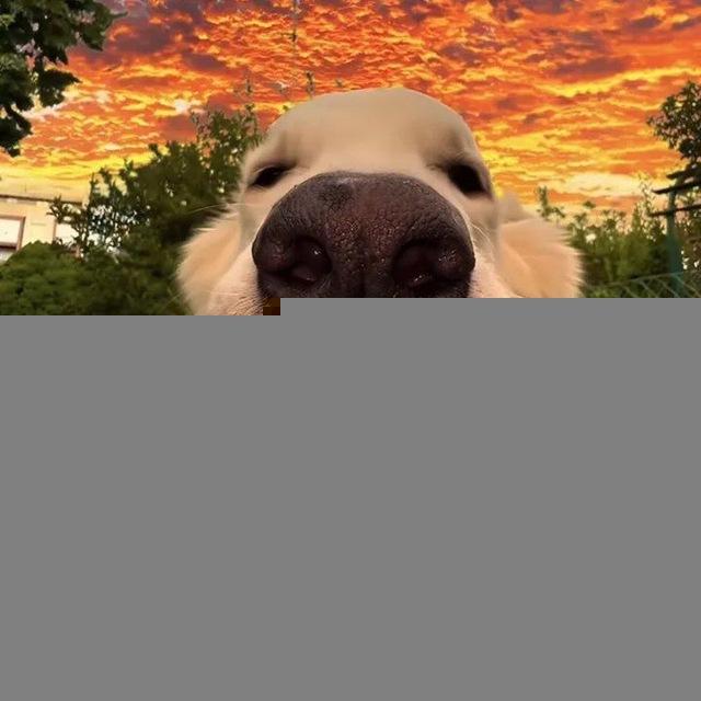 ➳⃝🦦ድድ°ማስጫ°😎