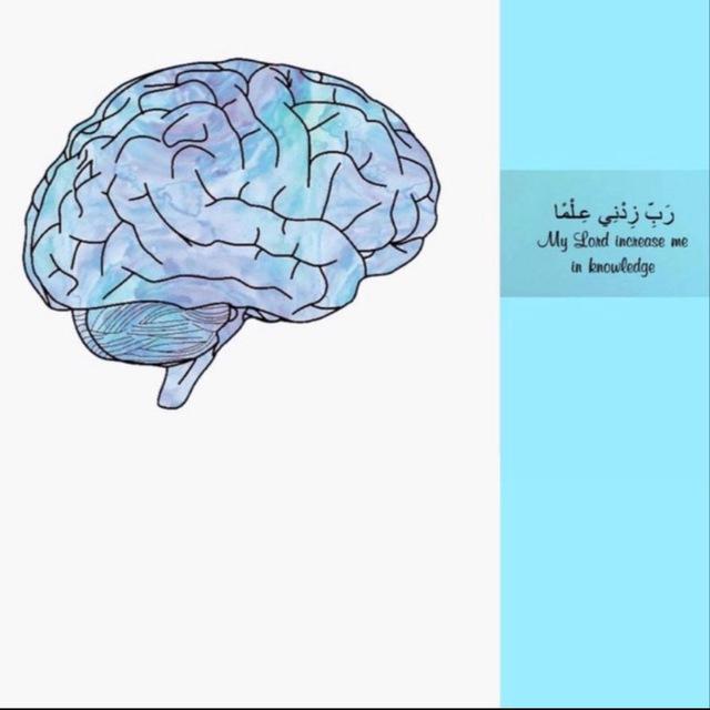 مسار صحي 44🩺.