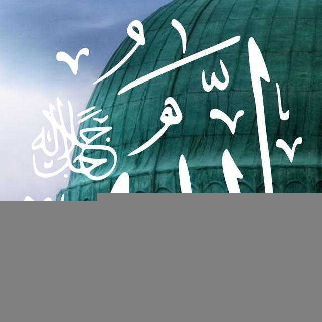 KELUARGA MUKMINAAT ALBIAH ALMUSTOFAWIYYAH