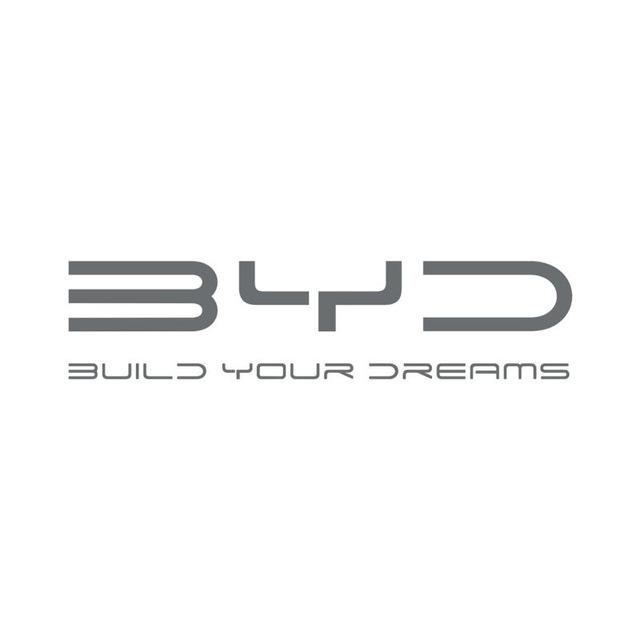 BYD EV AUTO СНГ электромобы BYD