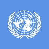 Model United Nations Astana