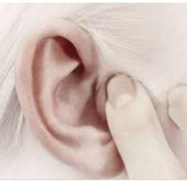 شنیده های انتخاباتی