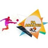 FA ANALYSIS
