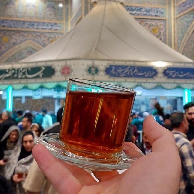 | مطرود