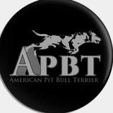 APBT (GAMEDOGS)