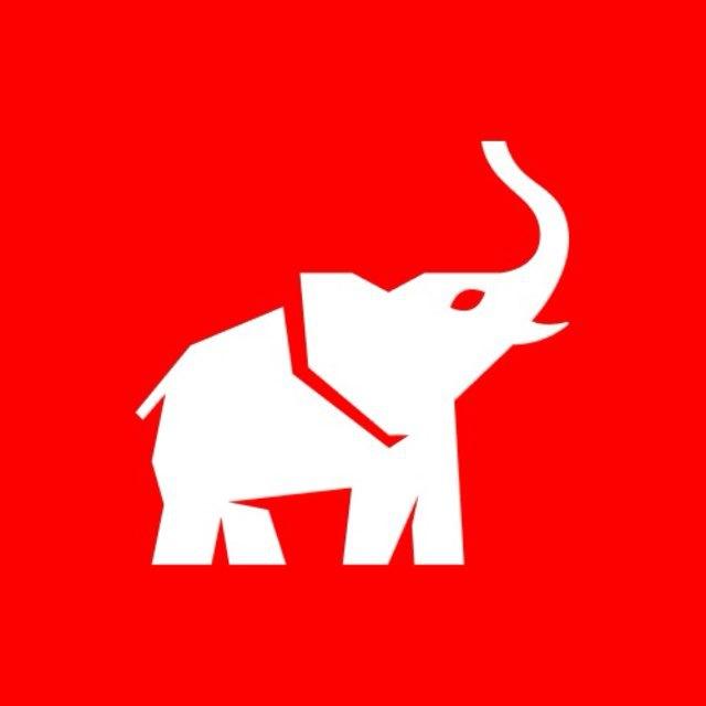 Animal Político