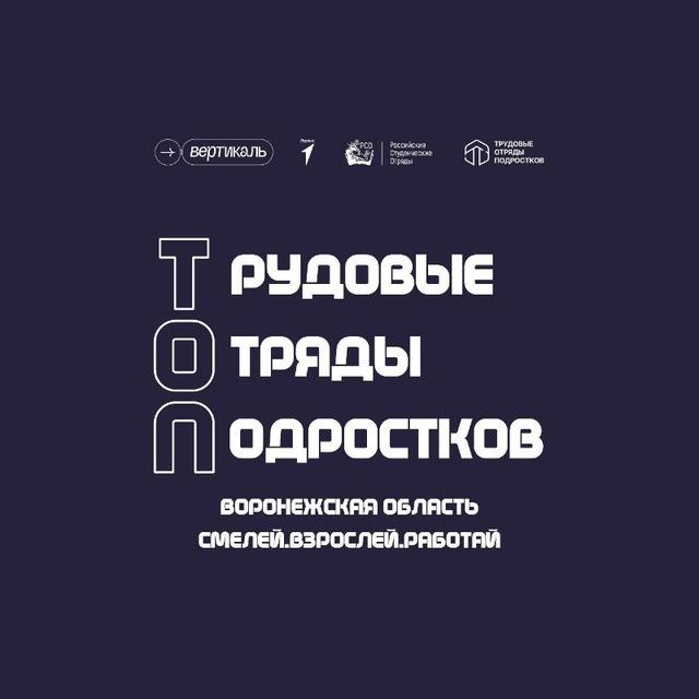 Трудовые отряды подростков Воронежской области
