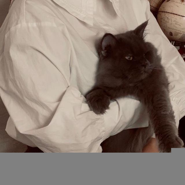 سُكـر اسمَـر .