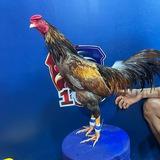 បក្សីស្រុងស្រែ
