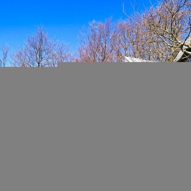 Арт-деревня Витланд 89633507913 гостиница на Балтийском море, тел: +79633507913