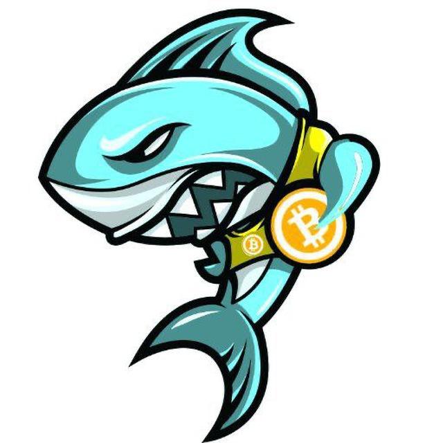 Sharks in Pump