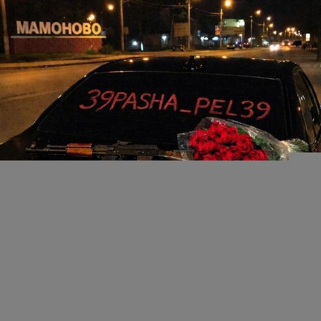 39Pasha_Pel39