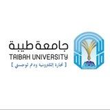 التجارة الإلكترونية والدعم اللوجستي