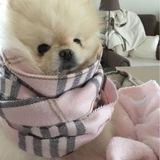 Красивые аватарки и обои🤍