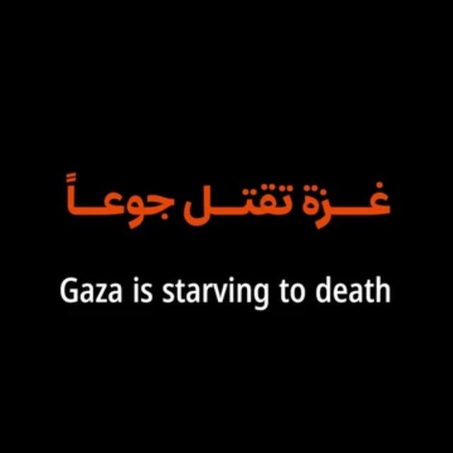 نماذج واختبارات الدفعة ”السادسة“ كلية الطب المخبري💉🔬🇵🇸