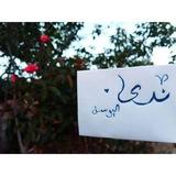 (نفحاتُ التاريخ) ندى اليوسف