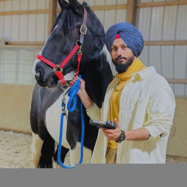 HONEY PUNJABI💙