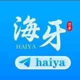 海牙团队官方频道