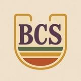 BCS 51-Bcs,Bank and other Jobs Preparation