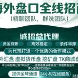 🚩加密货币盘|外汇盘|交易所币盘|秒合约|合约盘|数字货币|发售币盘|TK商城盘|刷单盘