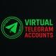 VERTUAL ACCOUNT