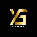 YoForex Major