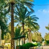 وضائف القطاع الخاص