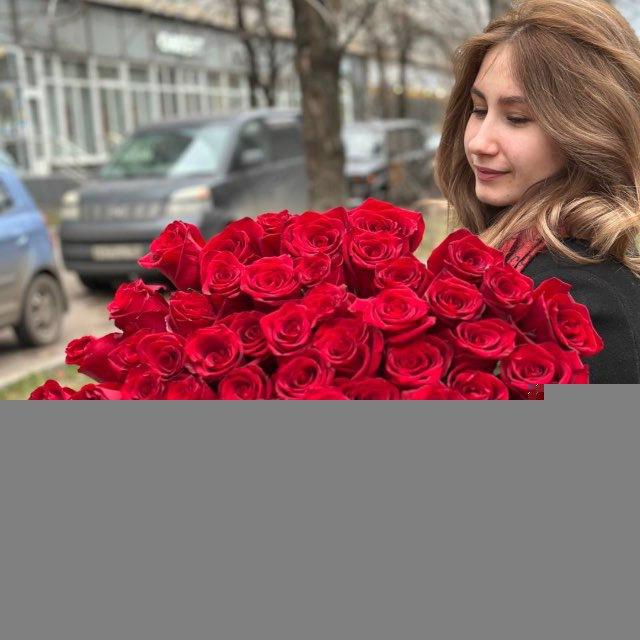 домик гномика