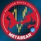 🐻METABEAR FOREX®️
