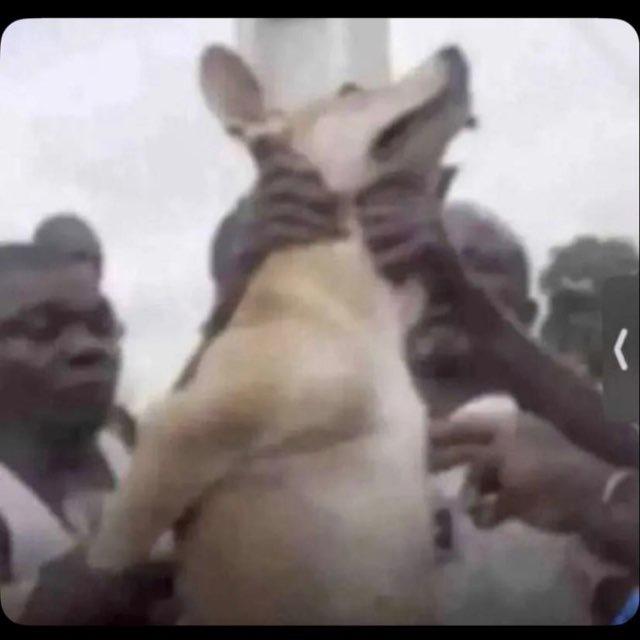 𝔸𝕄 𝕊𝕋𝕌𝔹𝔹𝕆ℝℕ Tv😂🇬🇭™️