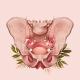 GYNECOLOGY ♡