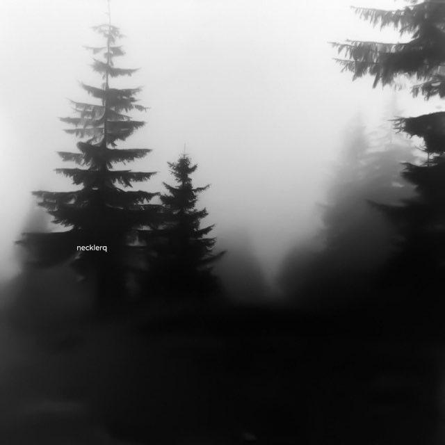 𝗺𝗿. d8r